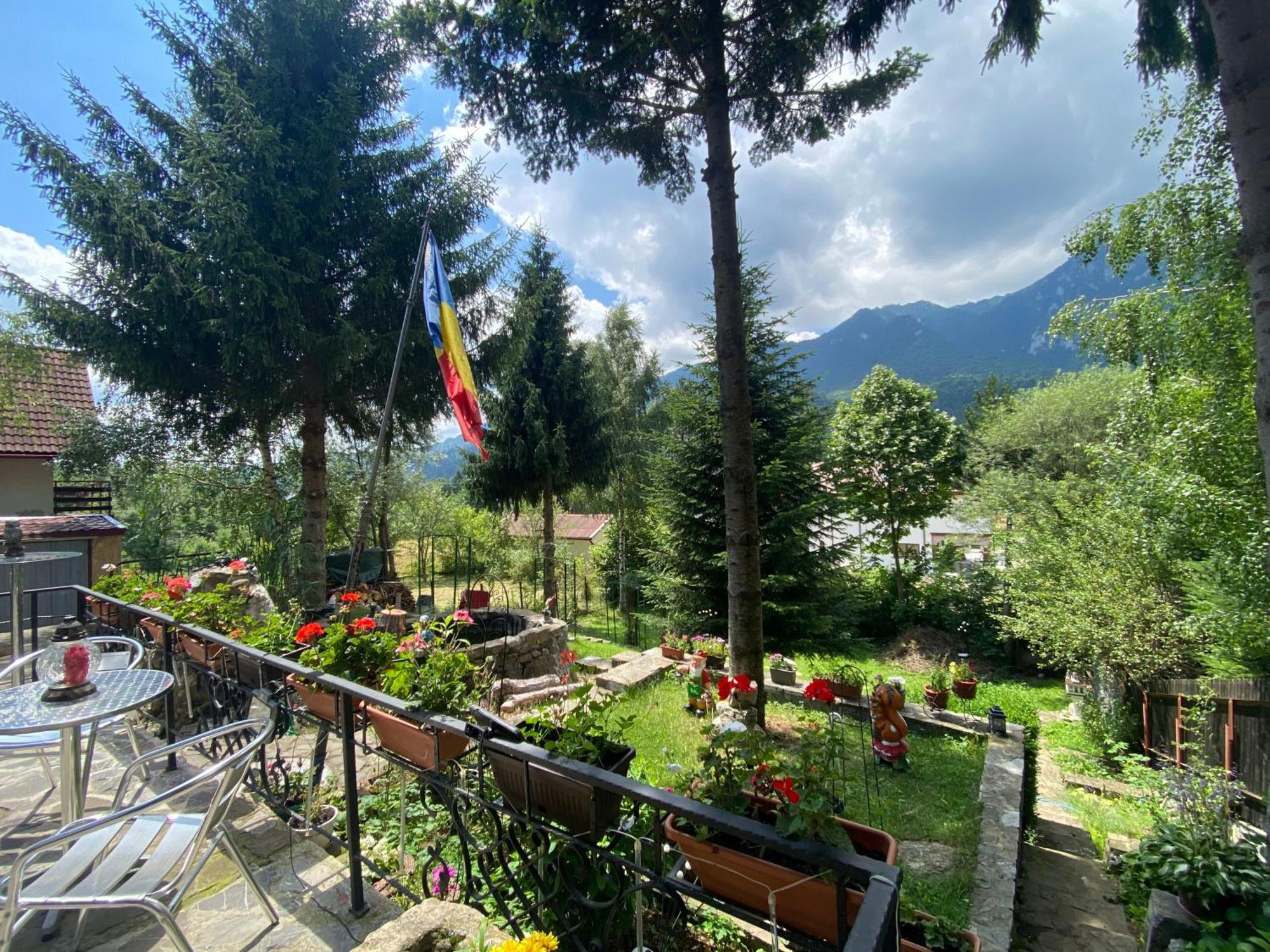 Vila Mara Buşteni Esterno foto